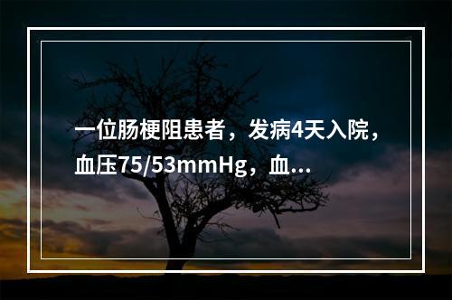 一位肠梗阻患者，发病4天入院，血压75/53mmHg，血钠1