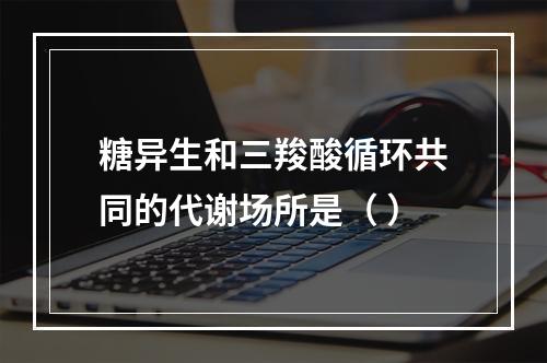 糖异生和三羧酸循环共同的代谢场所是（ ）