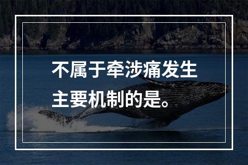 不属于牵涉痛发生主要机制的是。