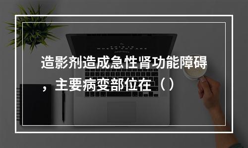 造影剂造成急性肾功能障碍，主要病变部位在（ ）