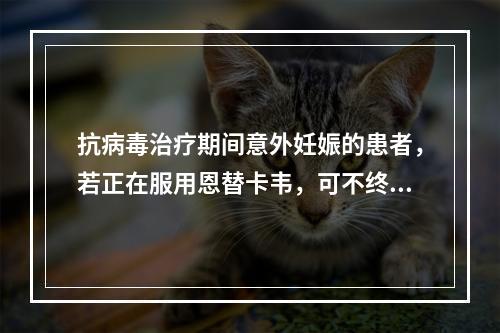 抗病毒治疗期间意外妊娠的患者，若正在服用恩替卡韦，可不终止妊