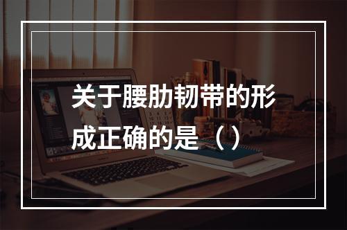 关于腰肋韧带的形成正确的是（ ）