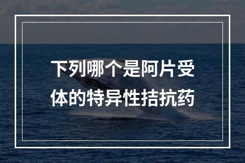 下列哪个是阿片受体的特异性拮抗药