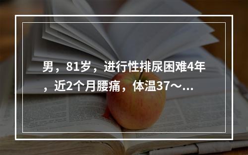 男，81岁，进行性排尿困难4年，近2个月腰痛，体温37～38