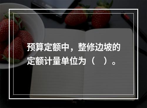 预算定额中，整修边坡的定额计量单位为（　）。