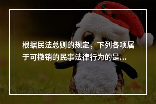 根据民法总则的规定，下列各项属于可撤销的民事法律行为的是（