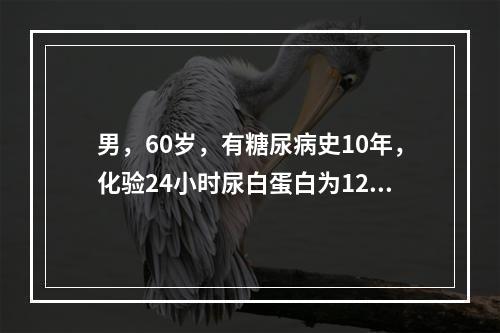 男，60岁，有糖尿病史10年，化验24小时尿白蛋白为120