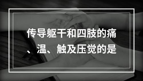 传导躯干和四肢的痛、温、触及压觉的是