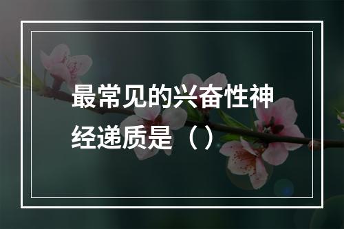 最常见的兴奋性神经递质是（ ）