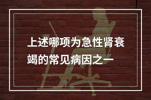 上述哪项为急性肾衰竭的常见病因之一