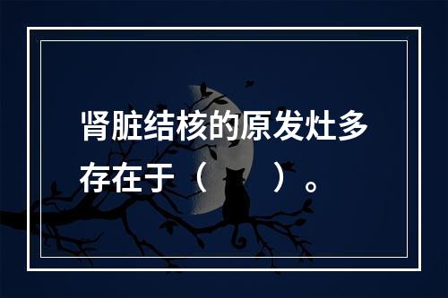 肾脏结核的原发灶多存在于（　　）。