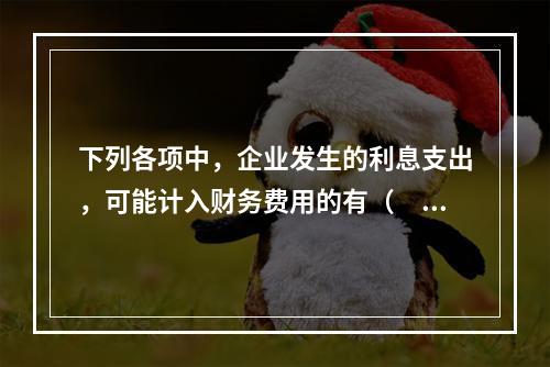 下列各项中，企业发生的利息支出，可能计入财务费用的有（　）。