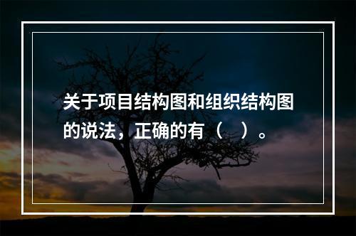 关于项目结构图和组织结构图的说法，正确的有（　）。