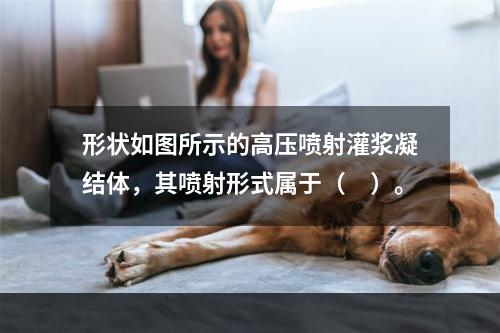 形状如图所示的高压喷射灌浆凝结体，其喷射形式属于（　）。