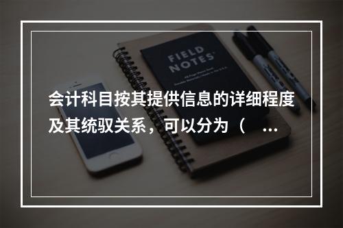 会计科目按其提供信息的详细程度及其统驭关系，可以分为（　　）