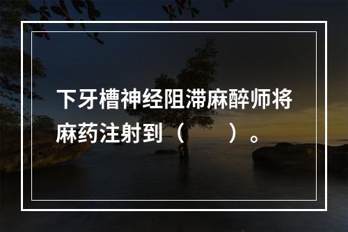 下牙槽神经阻滞麻醉师将麻药注射到（　　）。