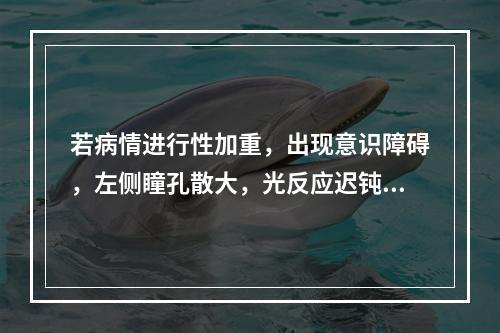 若病情进行性加重，出现意识障碍，左侧瞳孔散大，光反应迟钝，则