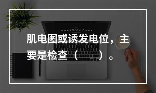 肌电图或诱发电位，主要是检查（　　）。