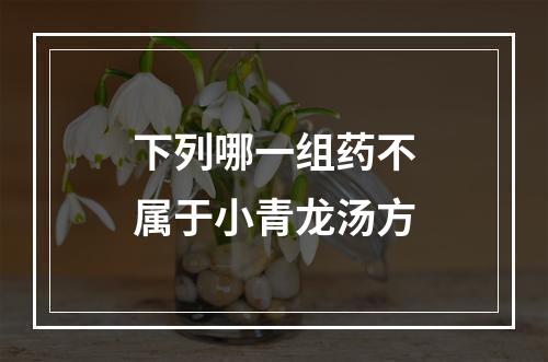 下列哪一组药不属于小青龙汤方