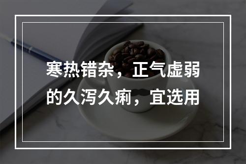 寒热错杂，正气虚弱的久泻久痢，宜选用