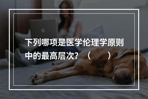 下列哪项是医学伦理学原则中的最高层次？（　　）