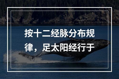 按十二经脉分布规律，足太阳经行于