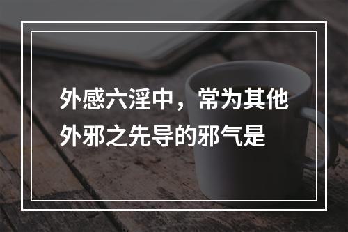 外感六淫中，常为其他外邪之先导的邪气是