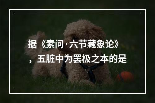 据《素问·六节藏象论》，五脏中为罢极之本的是