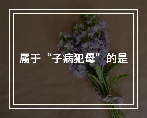 属于“子病犯母”的是