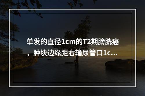 单发的直径1cm的T2期膀胱癌，肿块边缘距右输尿管口1cm，