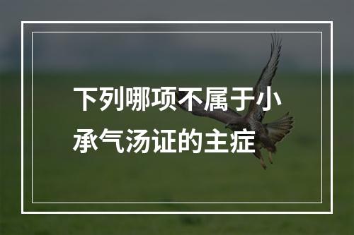 下列哪项不属于小承气汤证的主症