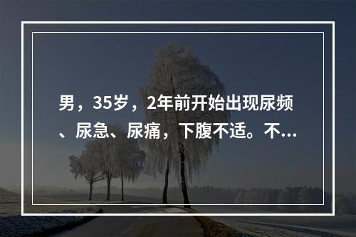 男，35岁，2年前开始出现尿频、尿急、尿痛，下腹不适。不规律