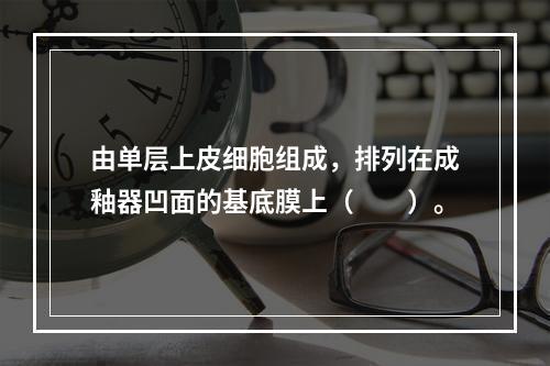 由单层上皮细胞组成，排列在成釉器凹面的基底膜上（　　）。