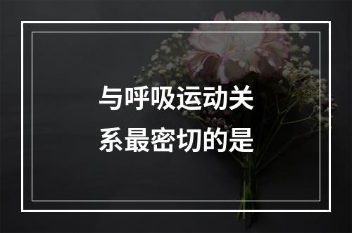 与呼吸运动关系最密切的是