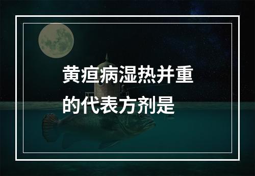 黄疸病湿热并重的代表方剂是