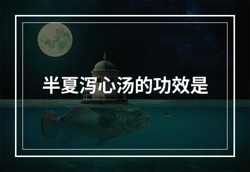 半夏泻心汤的功效是