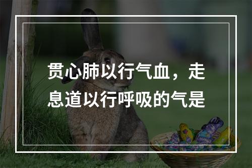 贯心肺以行气血，走息道以行呼吸的气是