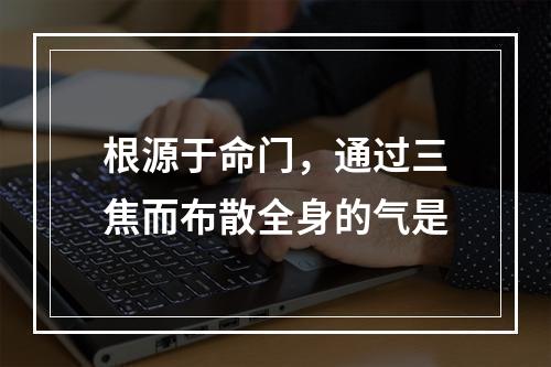 根源于命门，通过三焦而布散全身的气是