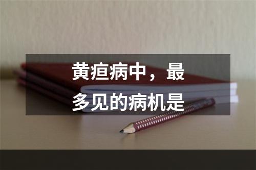 黄疸病中，最多见的病机是