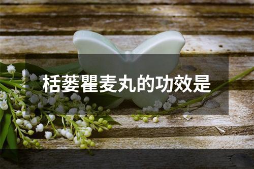 栝蒌瞿麦丸的功效是