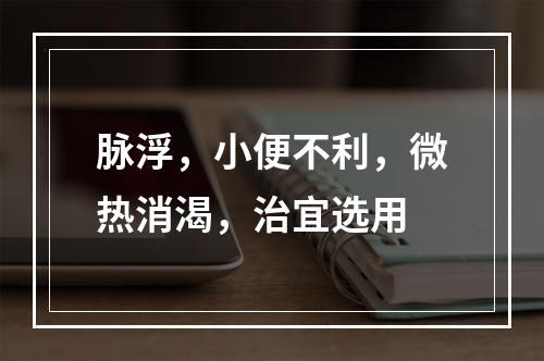 脉浮，小便不利，微热消渴，治宜选用