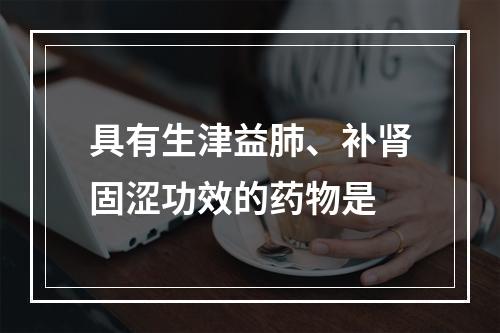 具有生津益肺、补肾固涩功效的药物是