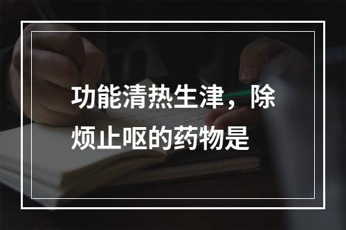 功能清热生津，除烦止呕的药物是