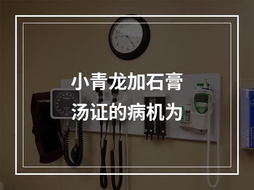 小青龙加石膏汤证的病机为