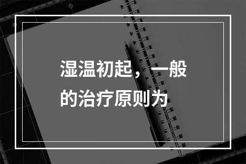 湿温初起，一般的治疗原则为