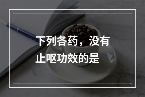 下列各药，没有止呕功效的是