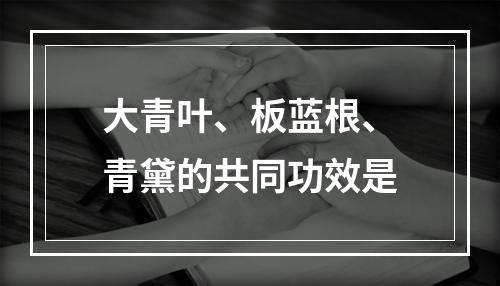 大青叶、板蓝根、青黛的共同功效是