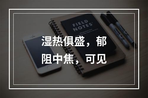 湿热俱盛，郁阻中焦，可见