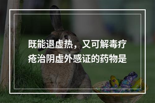 既能退虚热，又可解毒疗疮治阴虚外感证的药物是