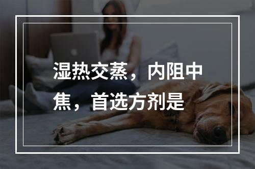 湿热交蒸，内阻中焦，首选方剂是